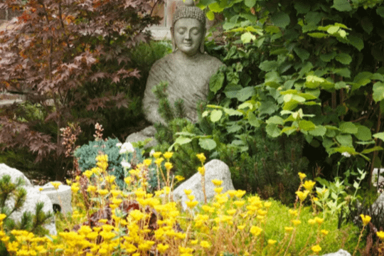 Image 3 from Inner Light Meditation & Healing Center partner gallery