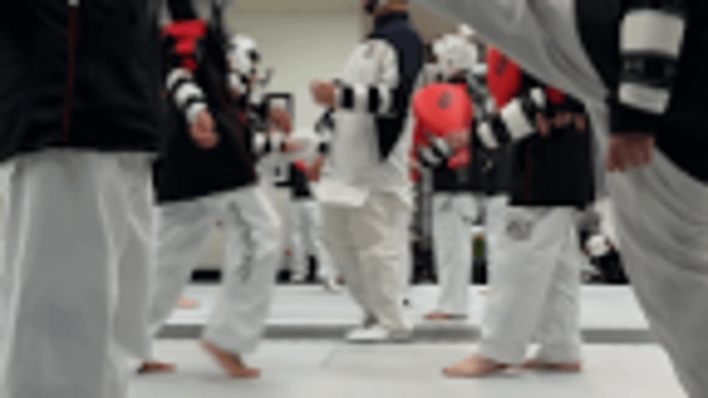 Image 3 from American Tigers Taekwondo partner gallery