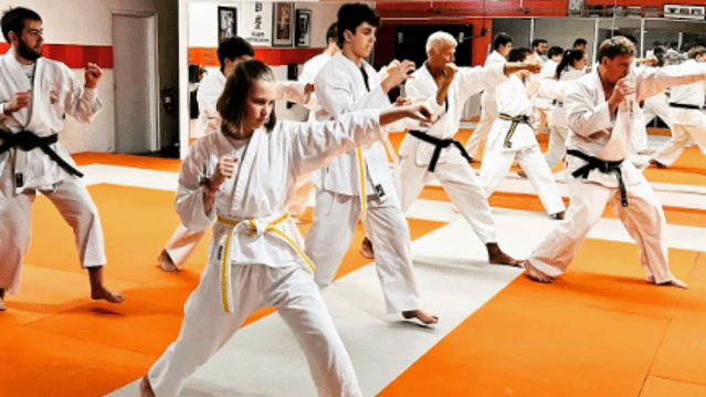 Image 1 from The Dojo Martial Arts & Fitness Oldsmar partner gallery