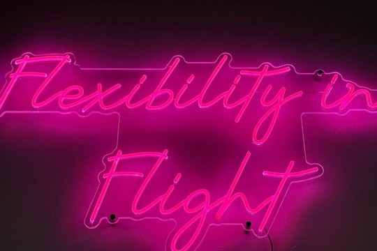 Image 2 from Flexibility in Flight partner gallery