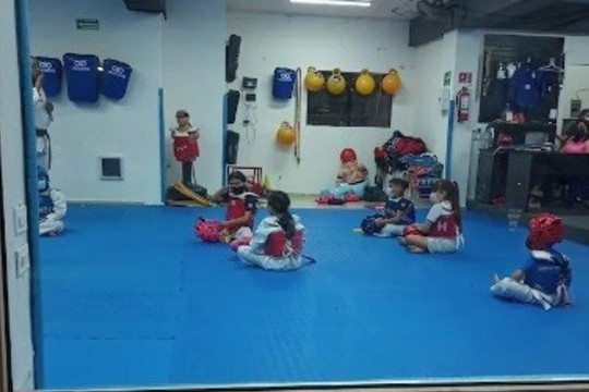 Imagen 1 de la galería del partner Profighter Central Santa Catarina