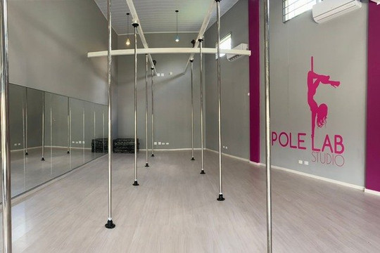 Imagem 1 da galeria do parceiro Pole Lab Studio-