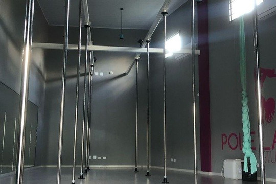 Imagem 3 da galeria do parceiro Pole Lab Studio-