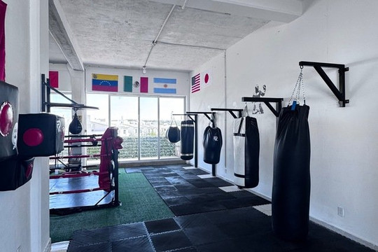 Imagen 3 de la galería del partner MG BOX QRO