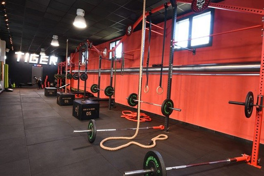 Immagine 3 dalla galleria del partner Tiger Fitness Club