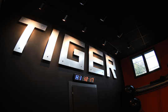 Immagine 2 dalla galleria del partner Tiger Fitness Club