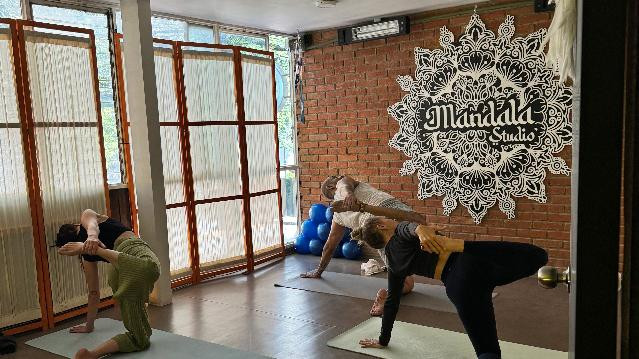 Imagen 1 de la galería del partner Mandala Studio - Yoga y Pilates en CDMX