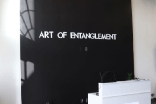 Image 3 from Art of Entanglement partner gallery