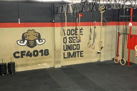 Imagem 3 da galeria do parceiro CF 4018