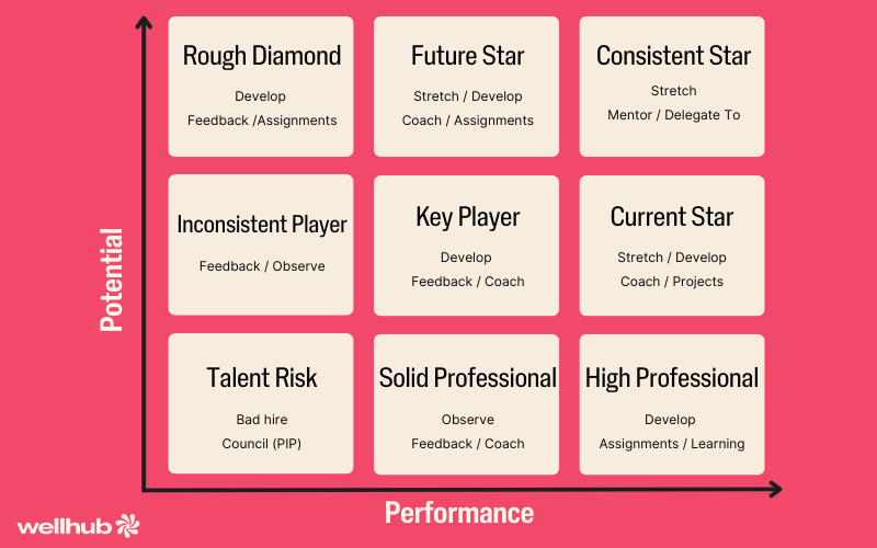 9 box performance management: Talent Risk to Consistent Star