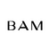 BAM labs
