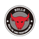 Bulls-logo