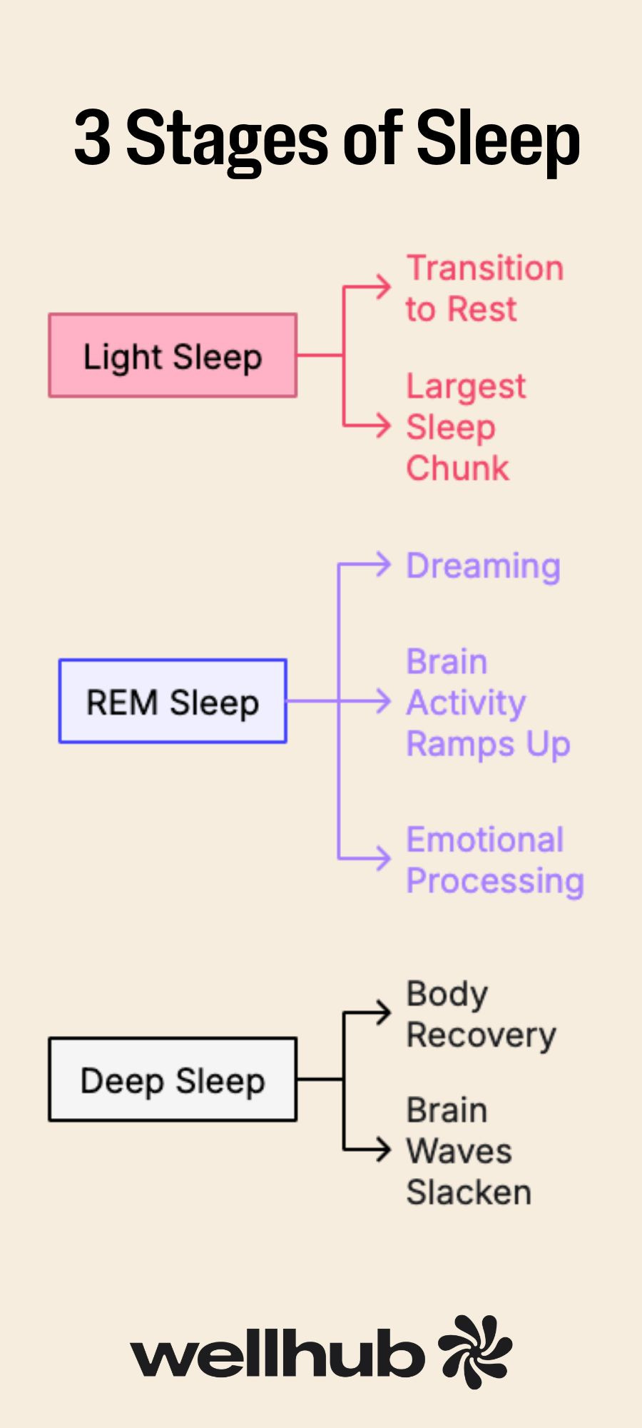 3 Stages of Sleep: Light, REM, and Deep