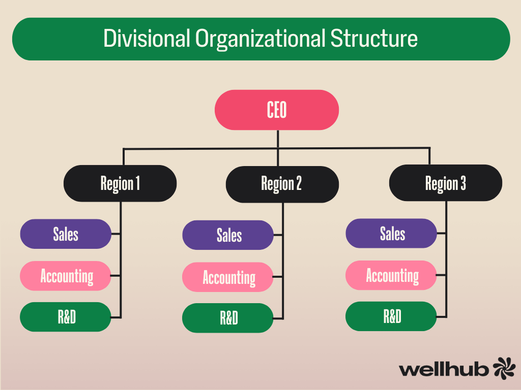 divisional organizational structure example org chart.png