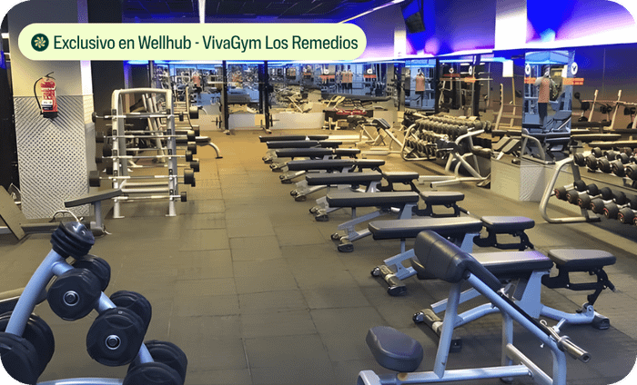 gimnasios y clases sevilla wellhub