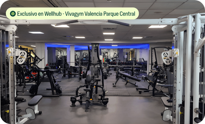 gimnasios y clases valencia wellhub