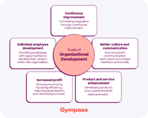 Organizational Development Goals