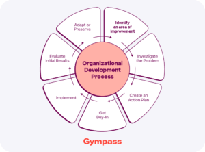 Organizational Development Process