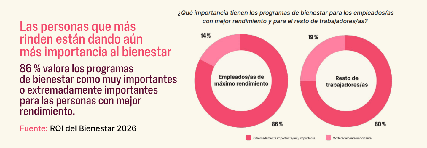 roi del bienestar laboral estadistica españa